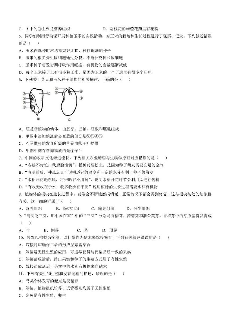 四川省广安市友谊中学2024~2025学年八年级(上)期中生物试卷(含答案)第2页