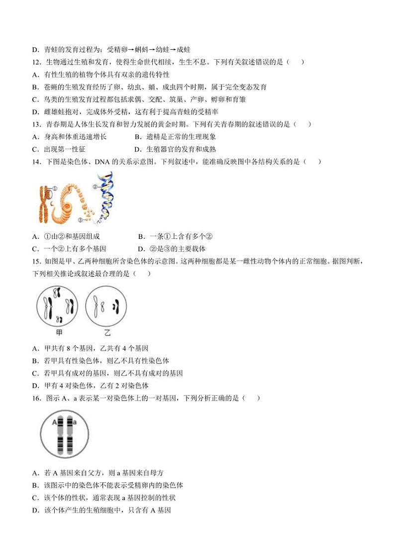 四川省广安市友谊中学2024~2025学年八年级(上)期中生物试卷(含答案)第3页
