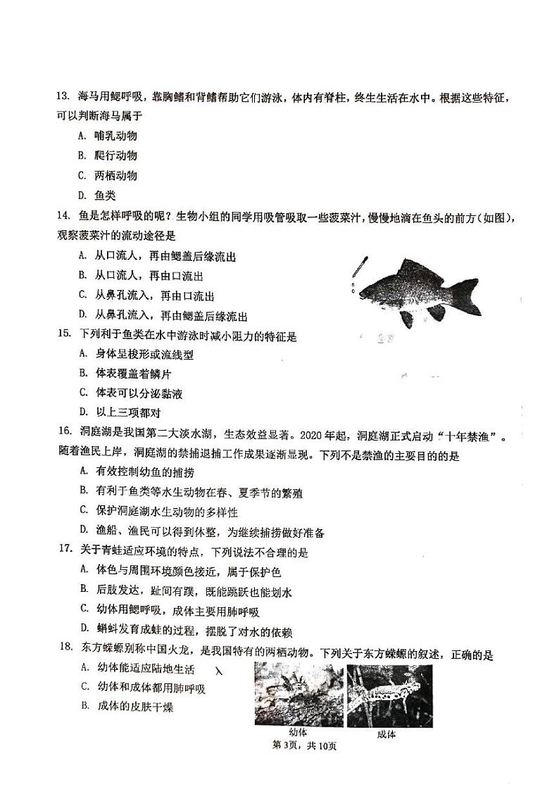 北京市第十四中学2024-2025学年八年级上学期期中检测生物试卷(11月)第3页