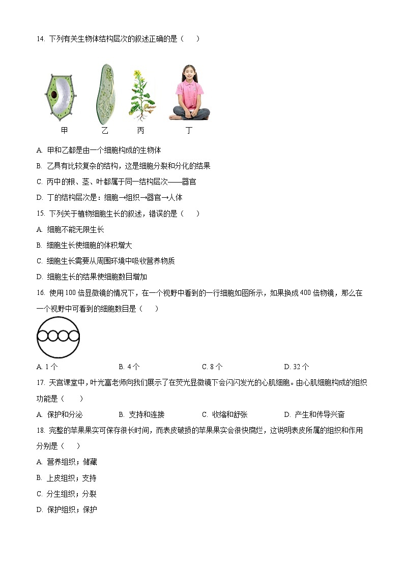 福建省福州市杨桥中学2024-2025学年七年级上学期期中生物学试题(原卷版)第3页