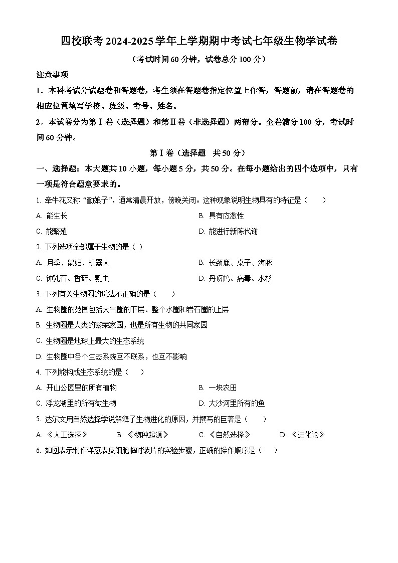 福建省泉州市四校联考2024-2025学年七年级上学期期中生物学试题(原卷版)第1页