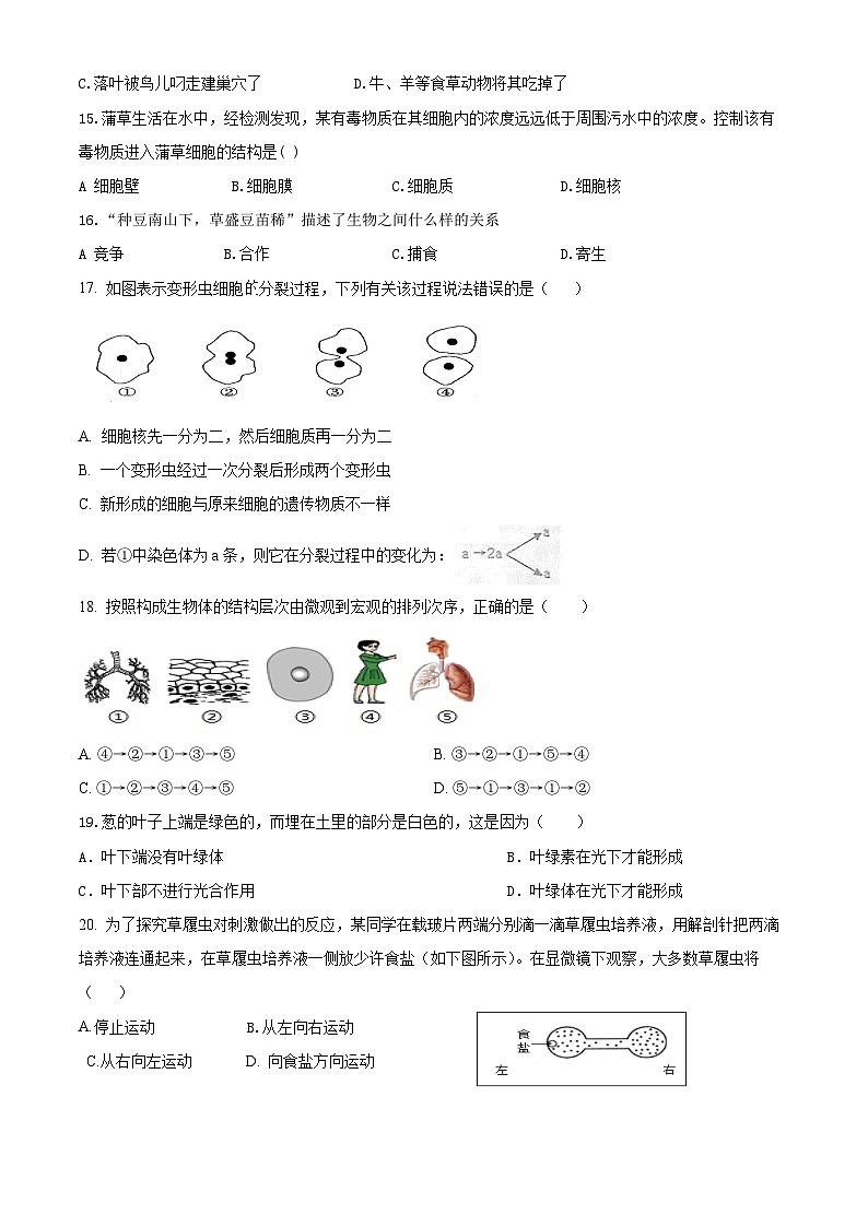 内蒙古赤峰市敖汉旗下洼初级中学2023-2024学年七年级上学期期末考试生物试题第3页