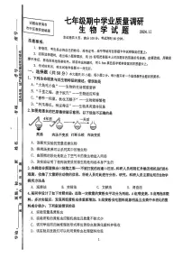 山东省济南市市中区2024-2025学年七年级上学期期中考试生物试卷