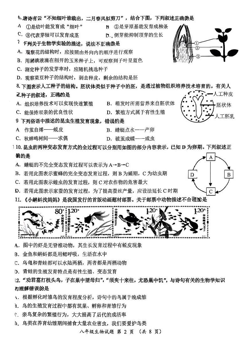 山东省济南市槐荫区2024-2025学年八年级上学期11月期中生物试题第2页