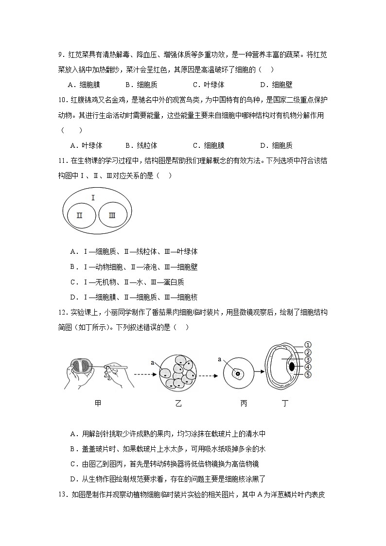 广东省普宁市勤建学校2024-2025学年七年级上学期期中考试生物试题第2页