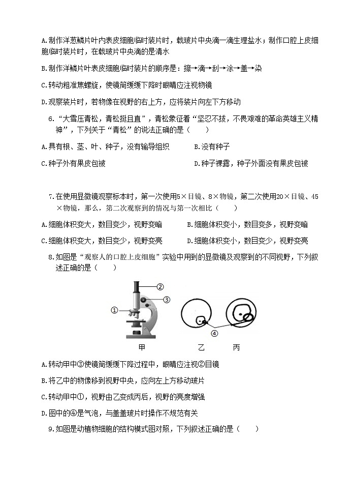 (教研室提供)山东省滨州市无棣县2024-2025学年七年级上学期期中考试生物试题(B)第2页