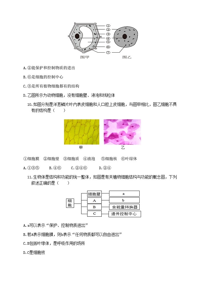 (教研室提供)山东省滨州市无棣县2024-2025学年七年级上学期期中考试生物试题(B)第3页