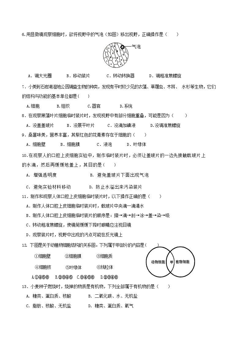 广东省深圳市福景外国语学校2024-2025学年七年级上学期期中生物试题第2页