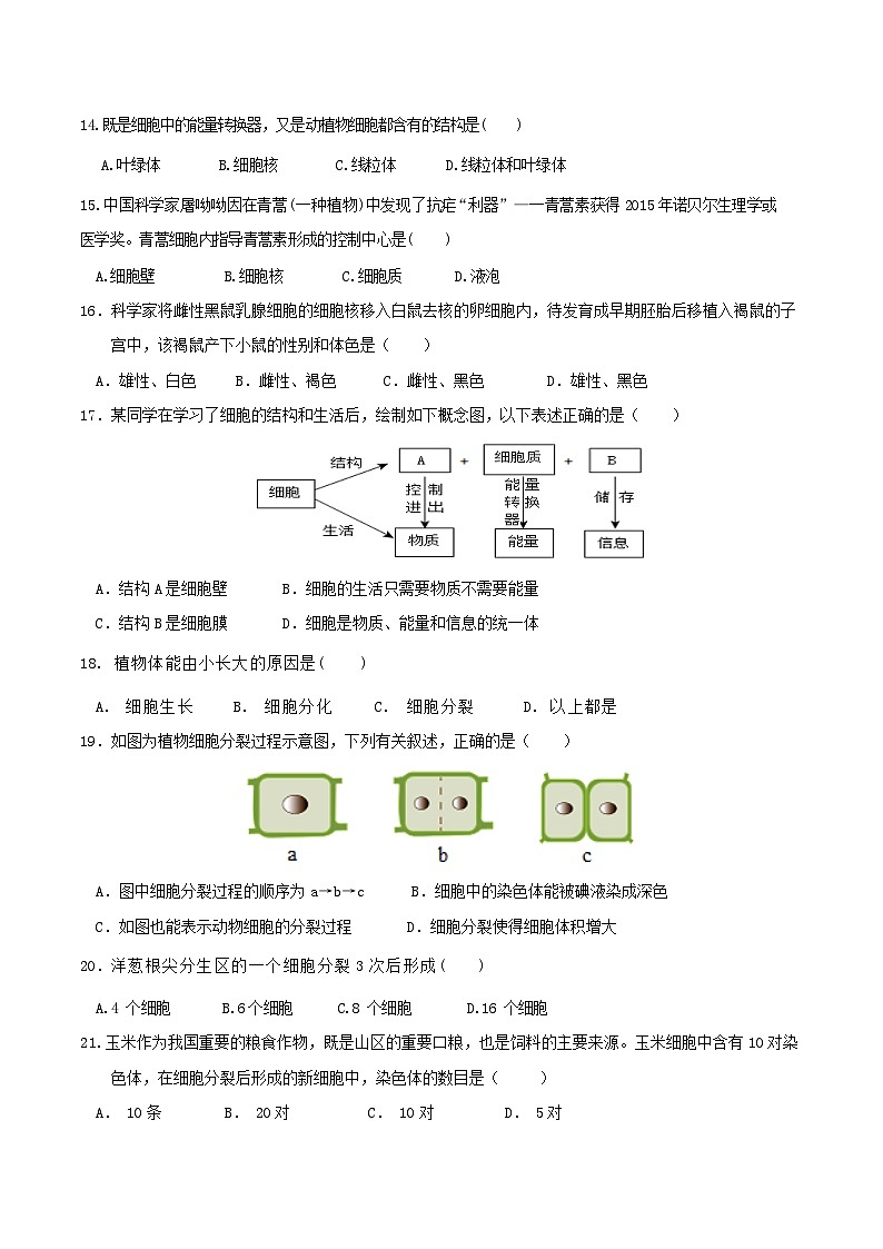 广东省深圳市福景外国语学校2024-2025学年七年级上学期期中生物试题第3页