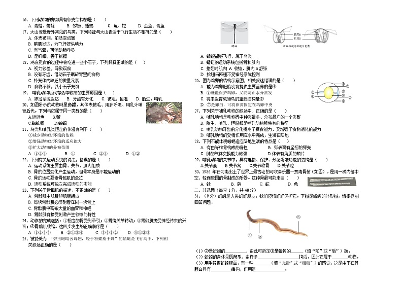 北京市宣武外国语实验学校2024-2025学年八年级上学期期中生物试卷第2页