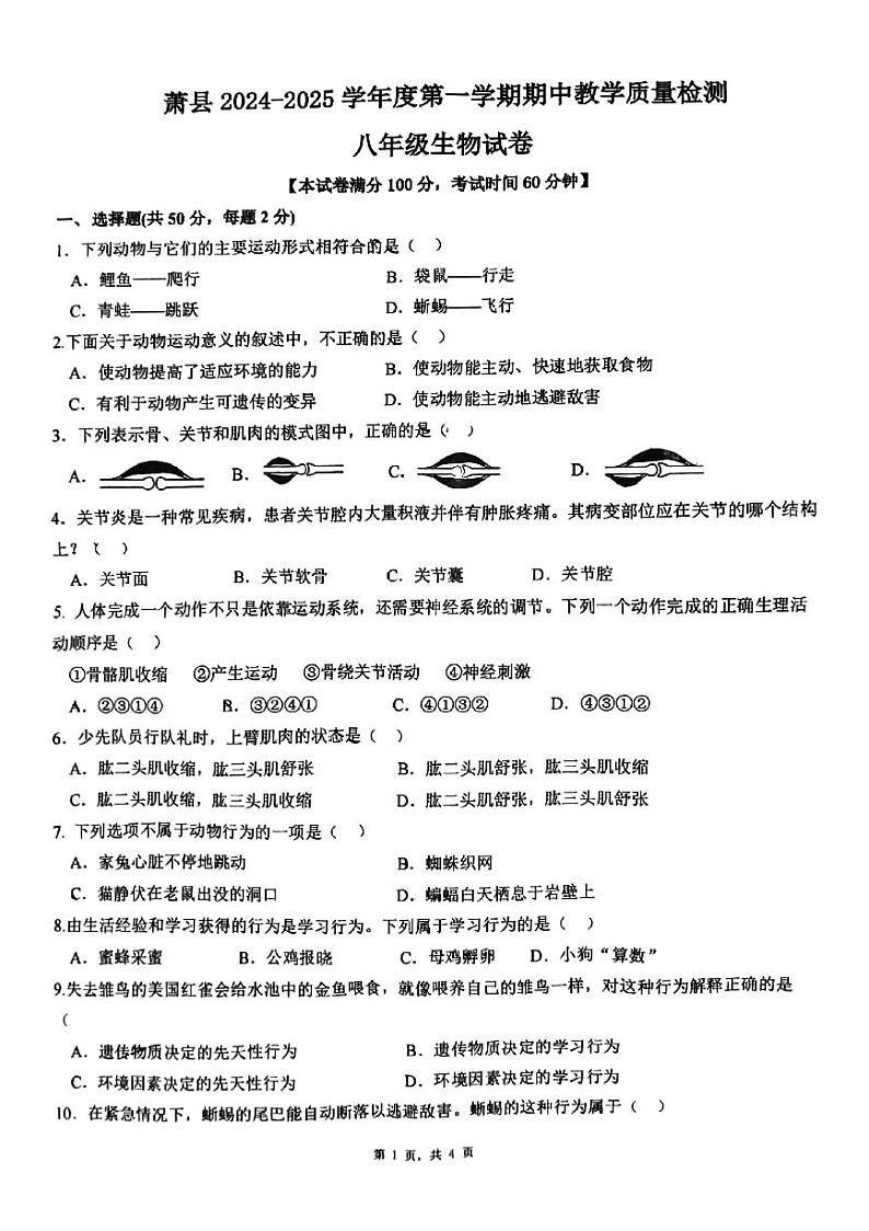 安徽省宿州市萧县2024-2025学年八年级上学期11月期中生物试题第1页