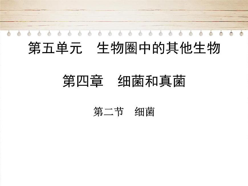 人教版生物八年級(jí)上冊(cè)5.4.2《細(xì)菌》第1頁(yè)