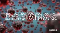 人教版（2024）七年级上册（2024）第一节 微生物的分布教学课件ppt