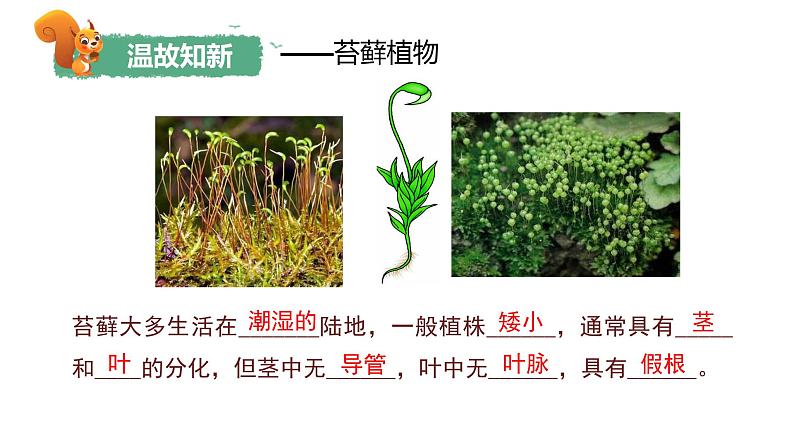 人教版生物七年级上册2.4.1《尝试对生物进行分类》课件第2页