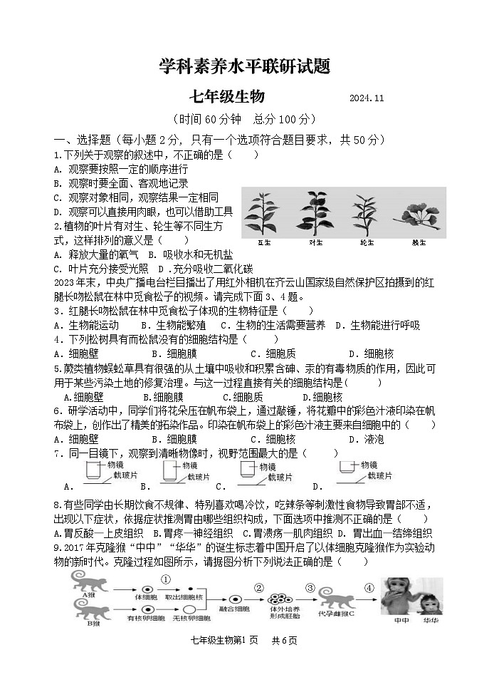 (教研室提供)山东省临沂市罗庄区2024-2025学年七年级上学期期中考试生物试题第1页