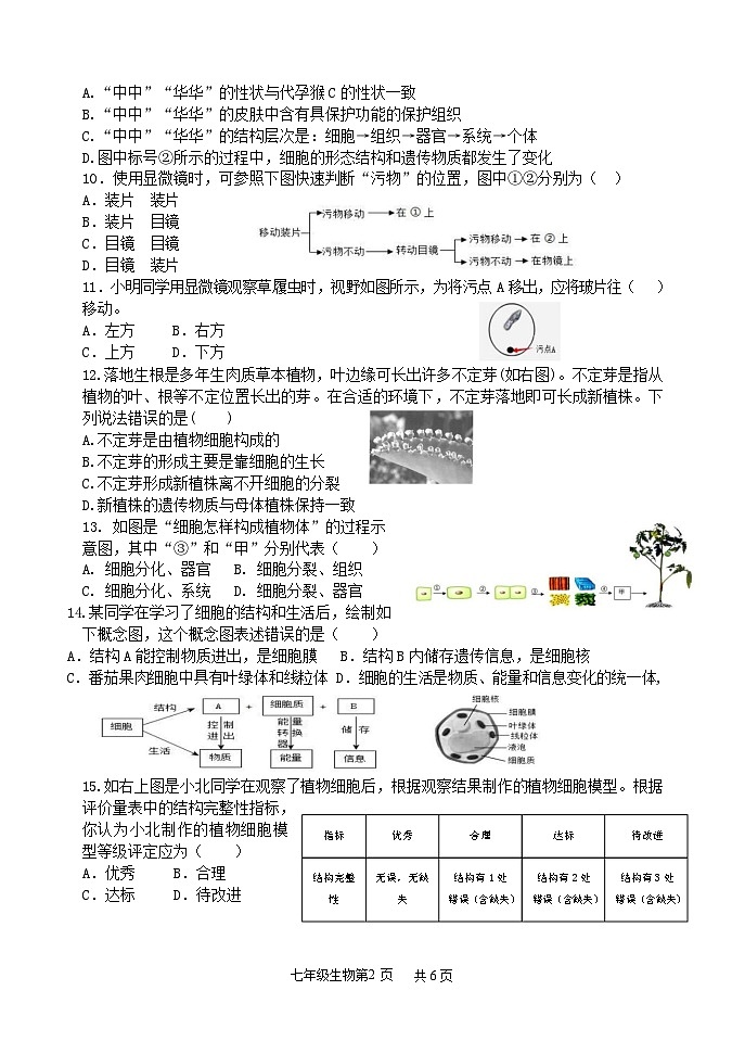 (教研室提供)山东省临沂市罗庄区2024-2025学年七年级上学期期中考试生物试题第2页