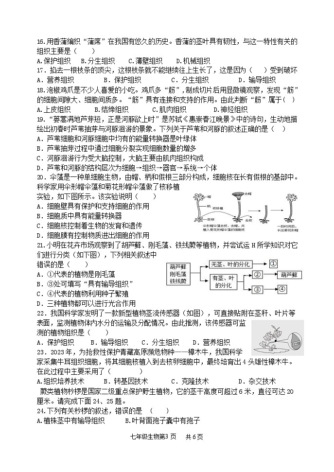 (教研室提供)山东省临沂市罗庄区2024-2025学年七年级上学期期中考试生物试题第3页