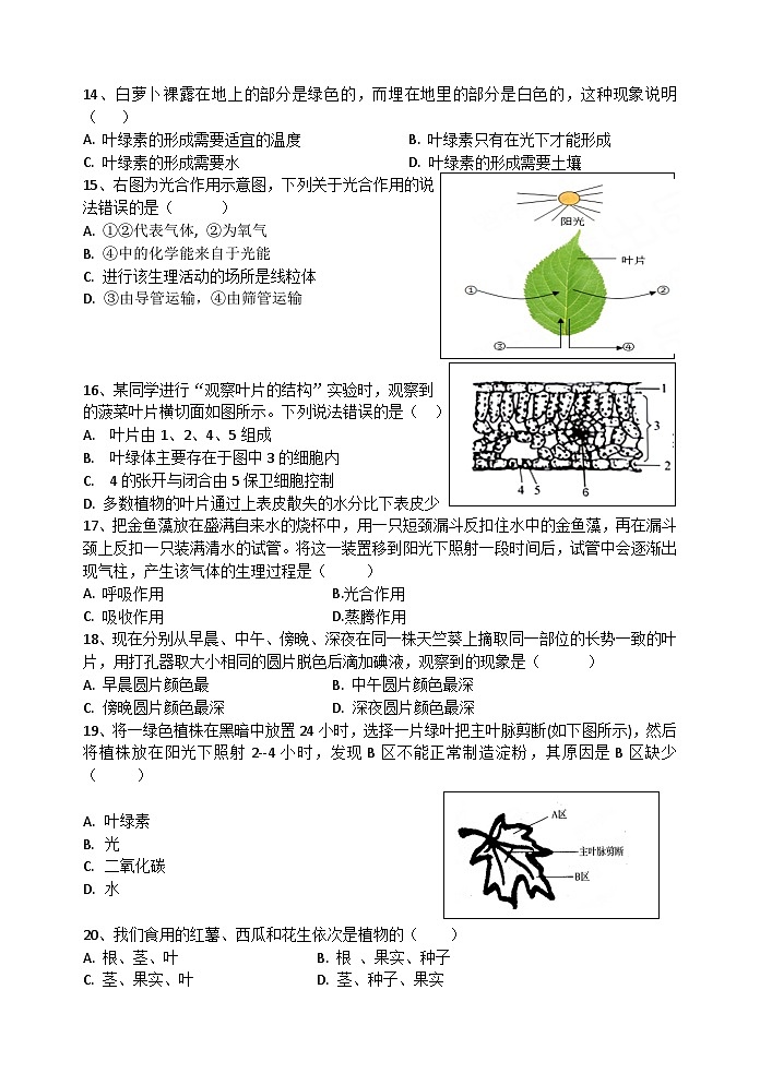 生物试题第3页