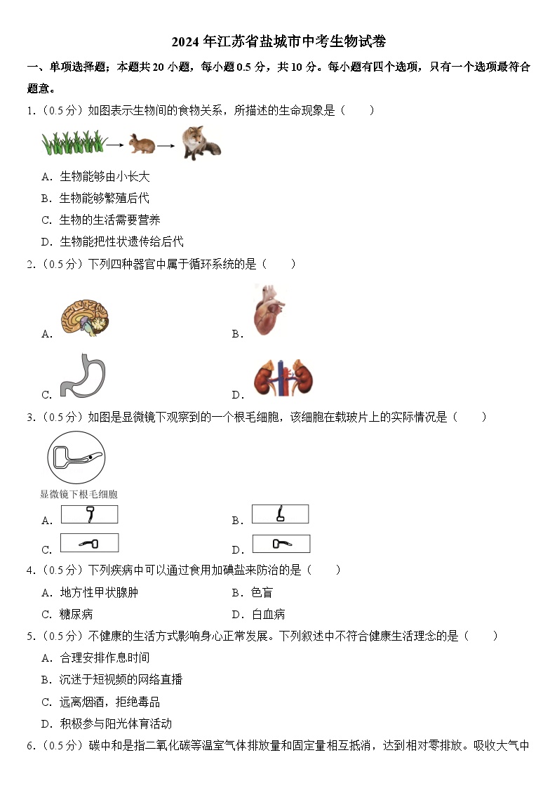 2024年江苏省盐城市中考生物试卷（附答案）