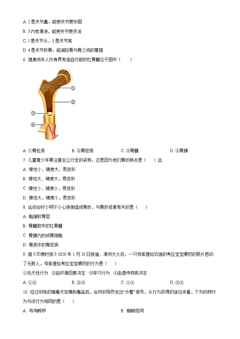 广东省韶关市新丰县2024-2025学年八年级上学期期中生物试题(原卷版)-A4第2页