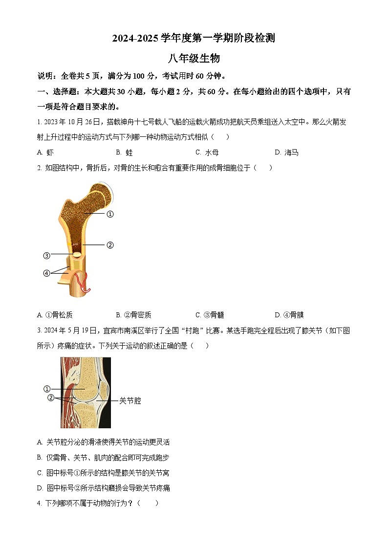 广东省云浮市罗定市2024-2025学年八年级上学期期中生物试题(原卷版)-A4第1页