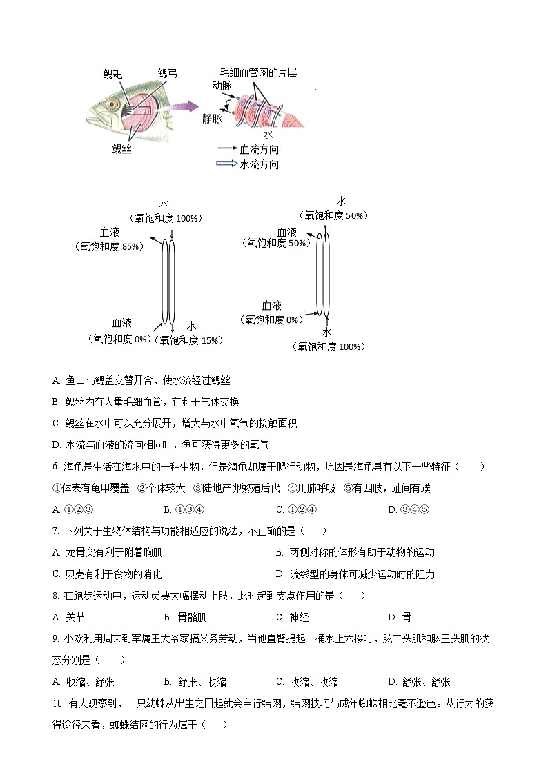 河北省石家庄市平山县外国语中学2023-2024学年八年级上学期12月月考生物学试题(原卷版)-A4第2页