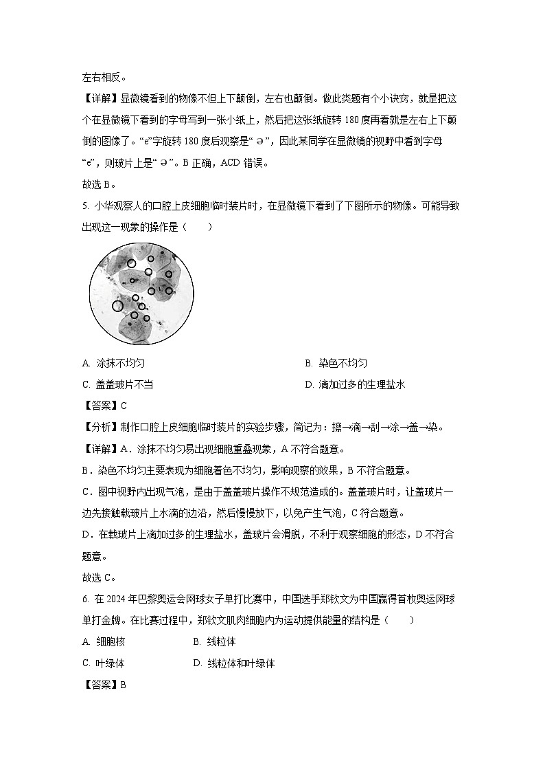 2024~2025学年山西省临汾市多校七年级(上)期中生物试卷(解析版)第3页