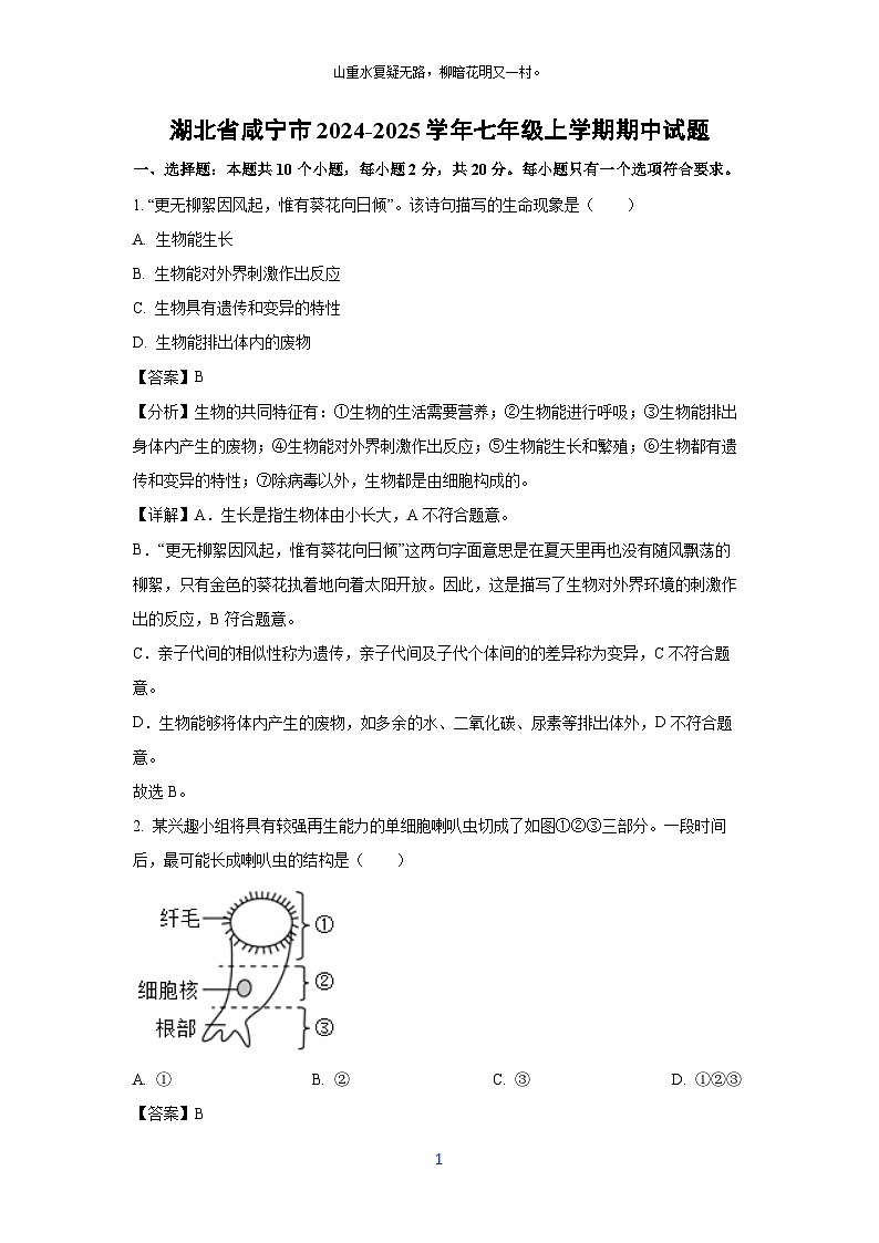 2024~2025学年湖北省咸宁市七年级(上)期中生物试卷(解析版)第1页