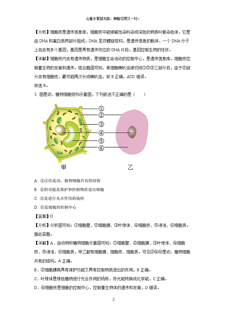 2024~2025学年湖北省咸宁市七年级(上)期中生物试卷(解析版)第2页