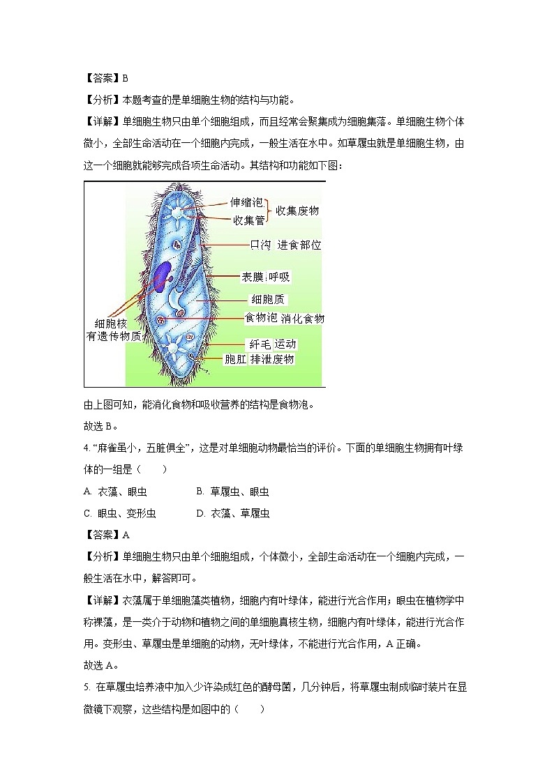 2024~2025學(xué)年江西省撫州市南城縣七年級(jí)(上)期中生物試卷(解析版)第2頁