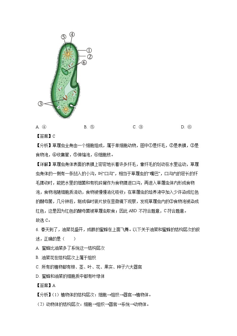 2024~2025學(xué)年江西省撫州市南城縣七年級(jí)(上)期中生物試卷(解析版)第3頁