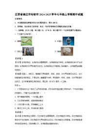2024~2025學(xué)年江蘇省鎮(zhèn)江市句容市七年級(jí)(上)期中生物試卷(解析版)