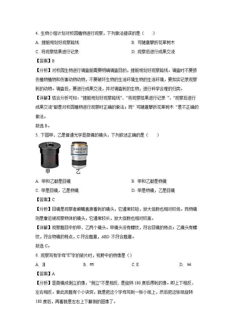 2024~2025学年江苏省镇江市句容市七年级(上)期中生物试卷(解析版)第3页