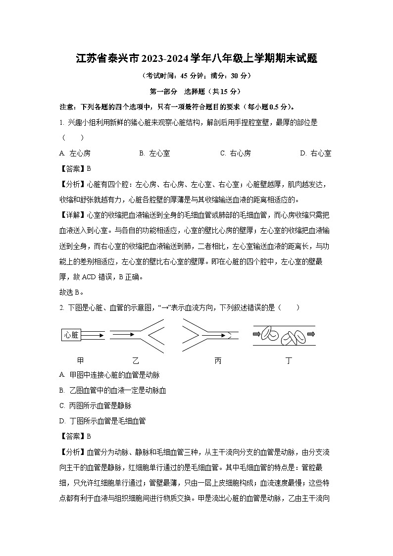 2023~2024學(xué)年江蘇省泰興市八年級(jí)(上)期末生物試卷(解析版)第1頁