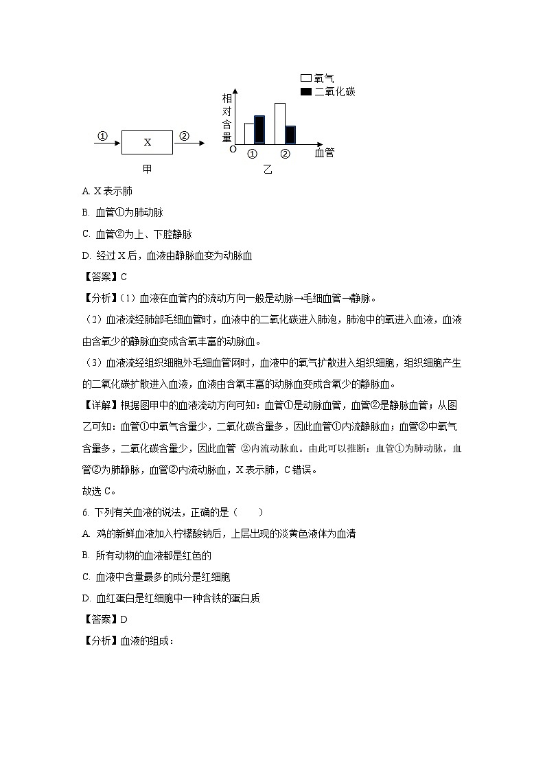 2023~2024学年江苏省扬州市江都区八校联谊八年级(上)期中生物试卷(解析版)第3页
