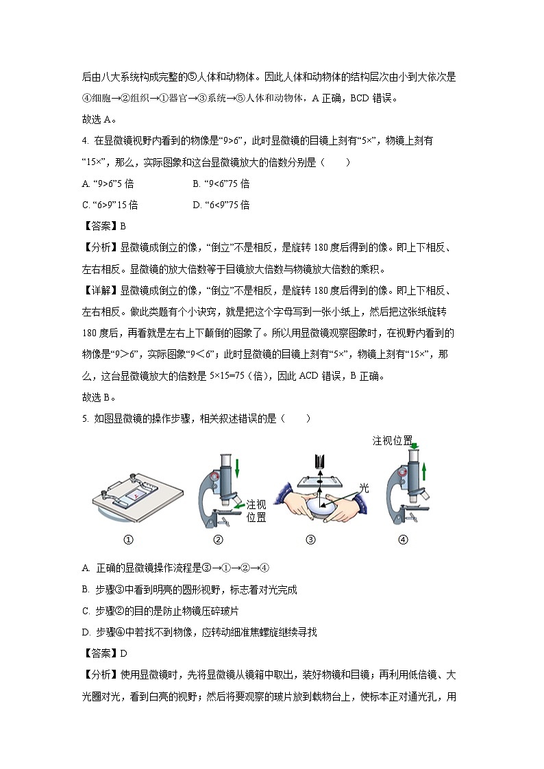 2023~2024学年山东省济南市槐荫区七年级(上)期中生物试卷(解析版)第3页
