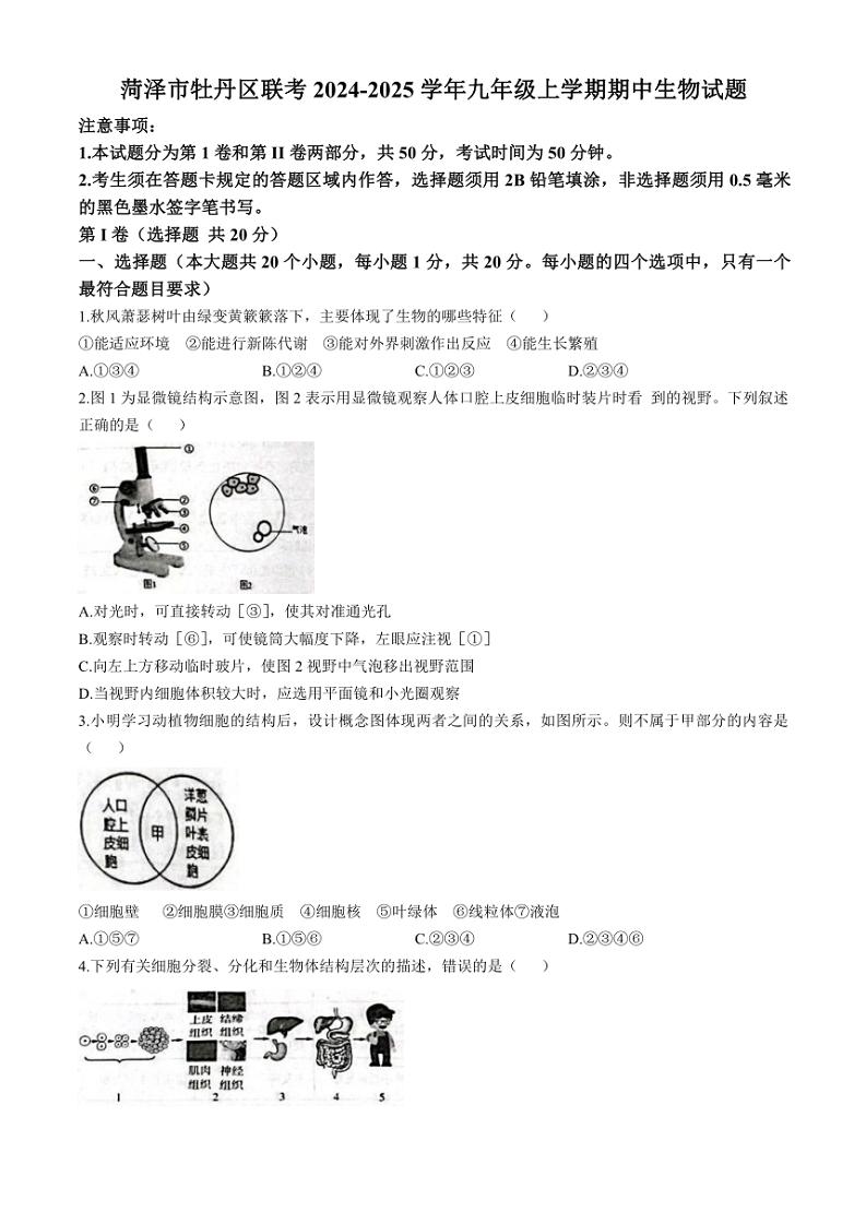 2024～2025学年山东省菏泽市牡丹区联考九年级(上)期中生物试卷(含答案)