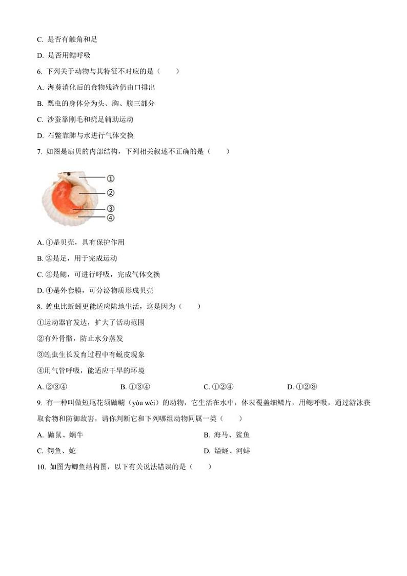 2024~2025学年山东省青岛市崂山区八年级(上)期中生物试卷(含答案)第2页