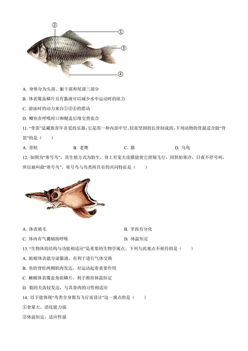 2024~2025学年山东省青岛市崂山区八年级(上)期中生物试卷(含答案)第3页