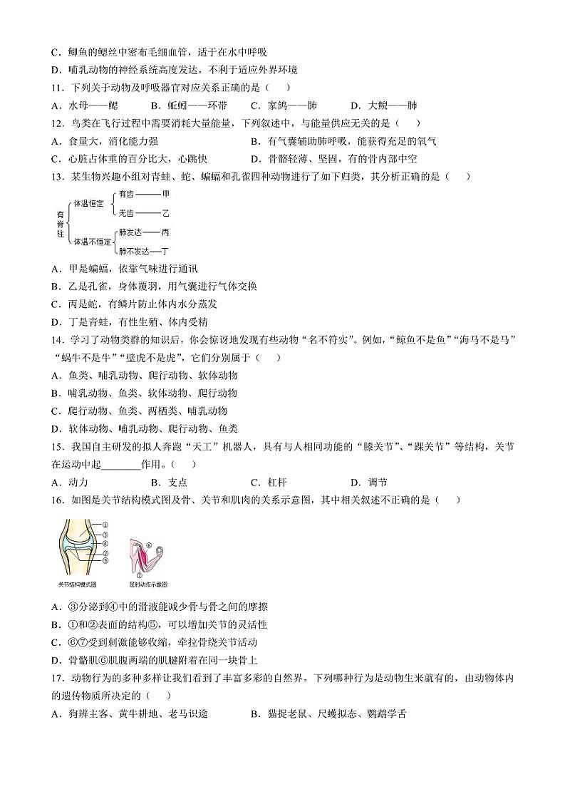2024～2025學年四川省眉山市天府新區(qū)八年級(上)期中生物試卷(含答案)第2頁