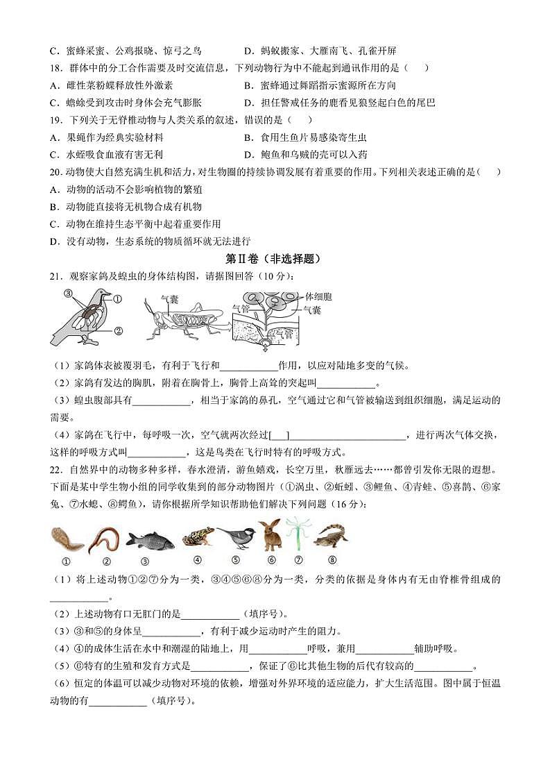 2024～2025學年四川省眉山市天府新區(qū)八年級(上)期中生物試卷(含答案)第3頁