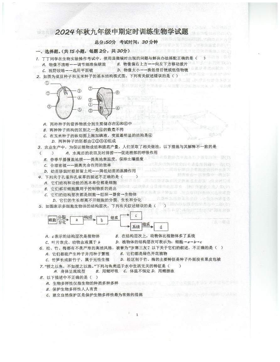 重庆市忠县马灌初级中学校2024-2025学年九年级上学期期中考试生物试题