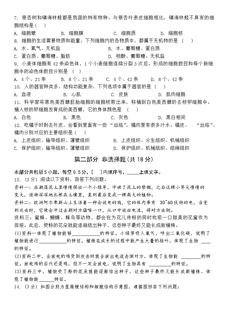 辽宁省大连市名校联盟2024-2025学年上学期期中考试七年级生物试题第2页