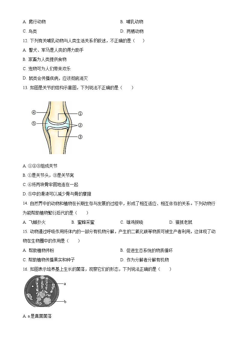 河北省唐山市滦州市2024-2025学年八年级上学期期中生物试题(原卷版)-A4第3页