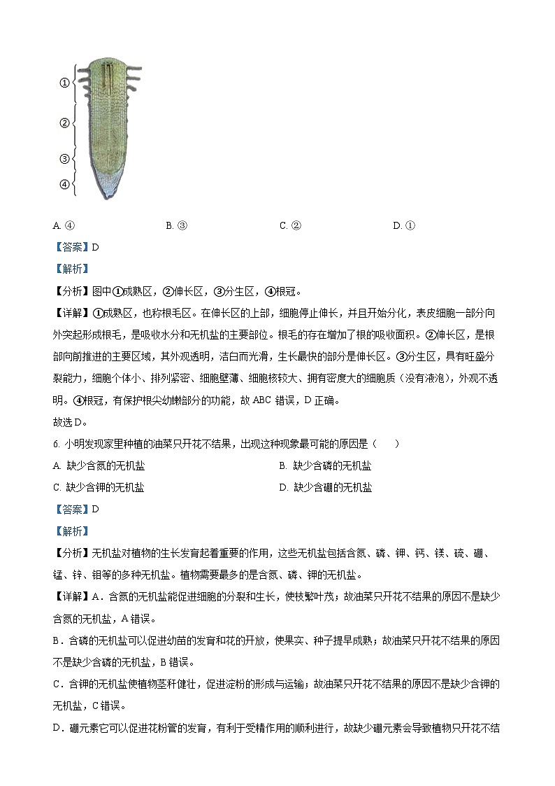 河北省保定市高碑店市2024-2025学年八年级上学期期中生物试题(解析版)-A4第3页