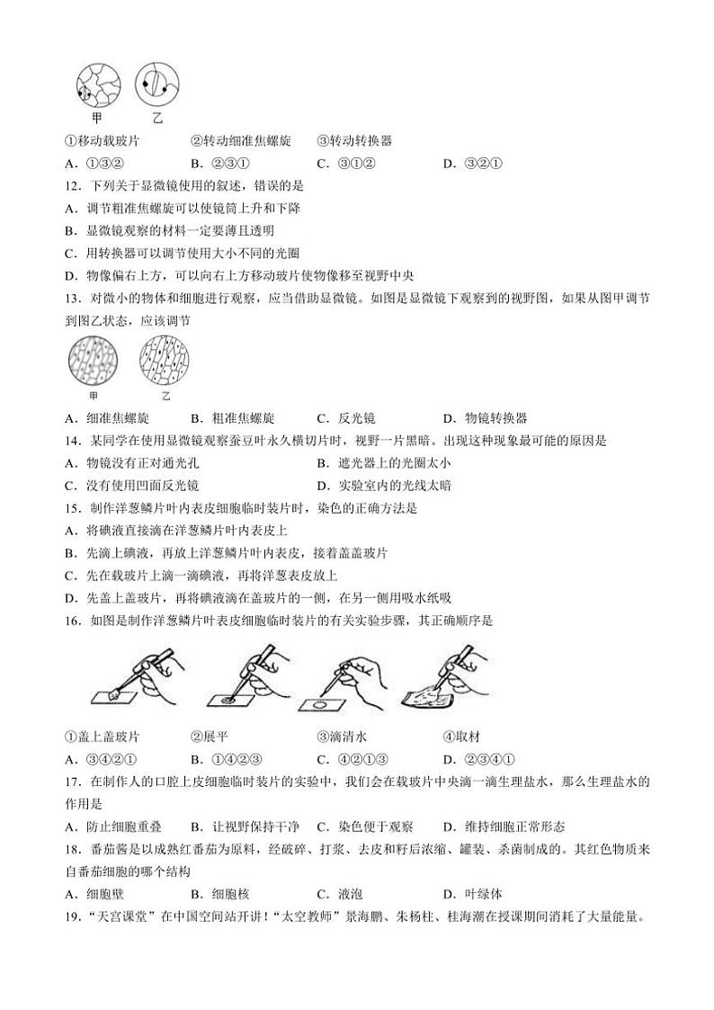 四川省广安市友谊中学2024~2025学年七年级(上)期中生物试卷(含答案)第3页