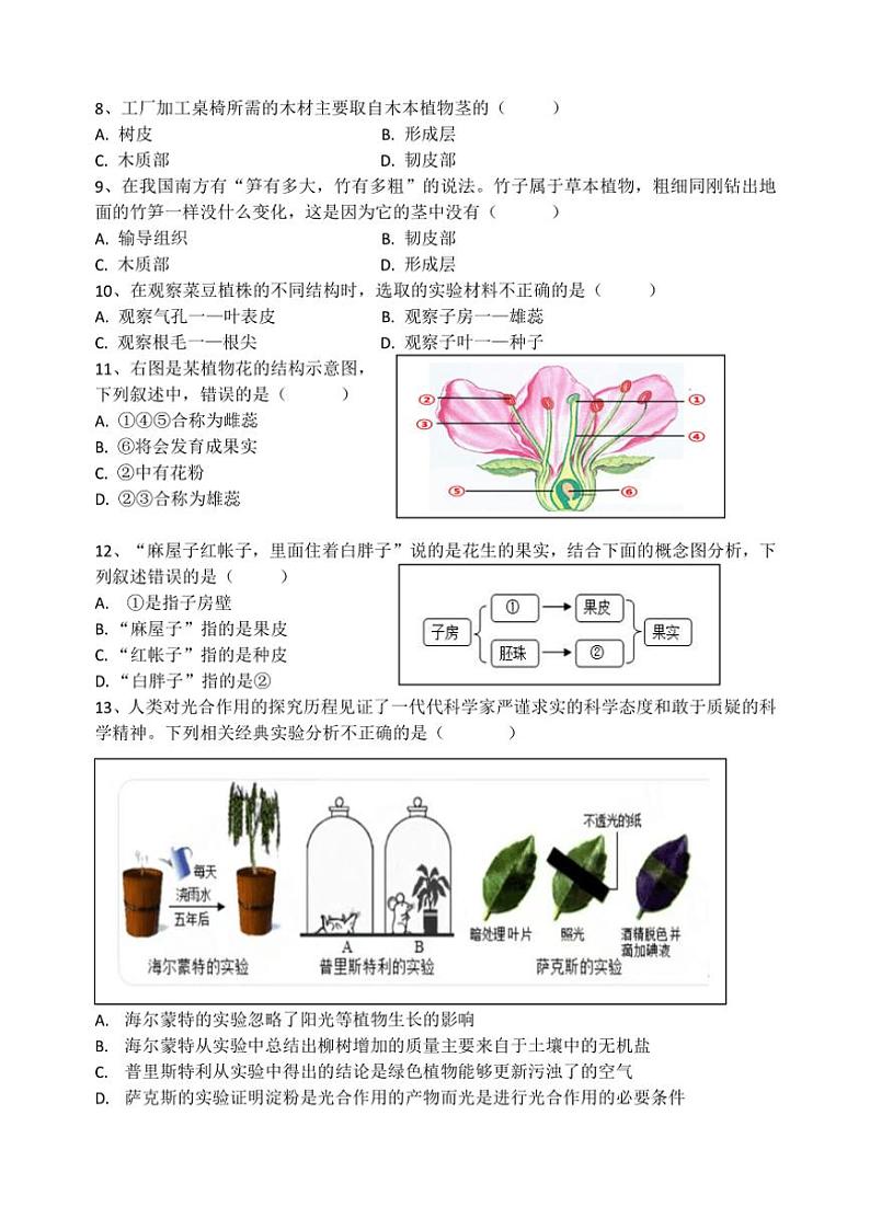 江苏省盐城市大丰区实验初级中学教育集团2023~2024学年七年级(上)12月月考生物试卷(含答案)第2页