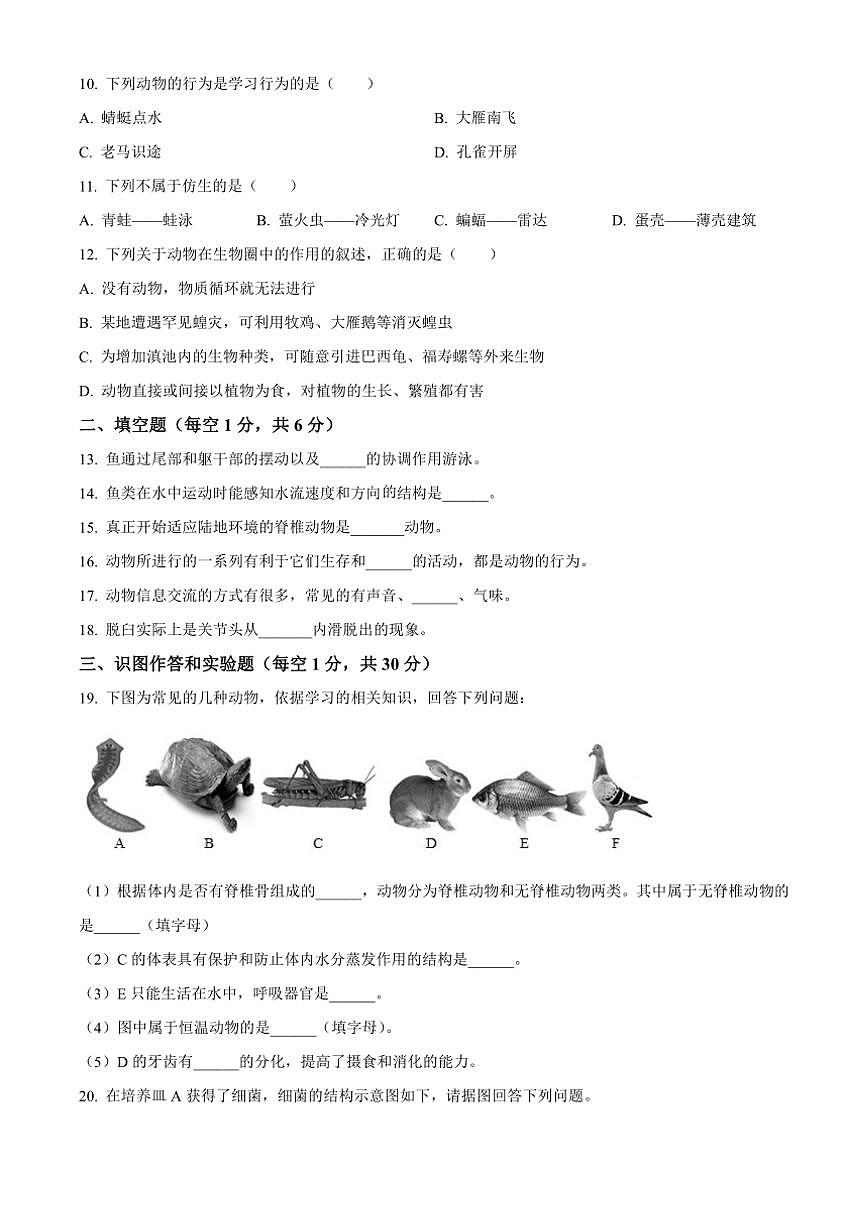 甘肅省定西市岷縣2024～2025學(xué)年八年級(上)期中生物試卷(含答案)第2頁
