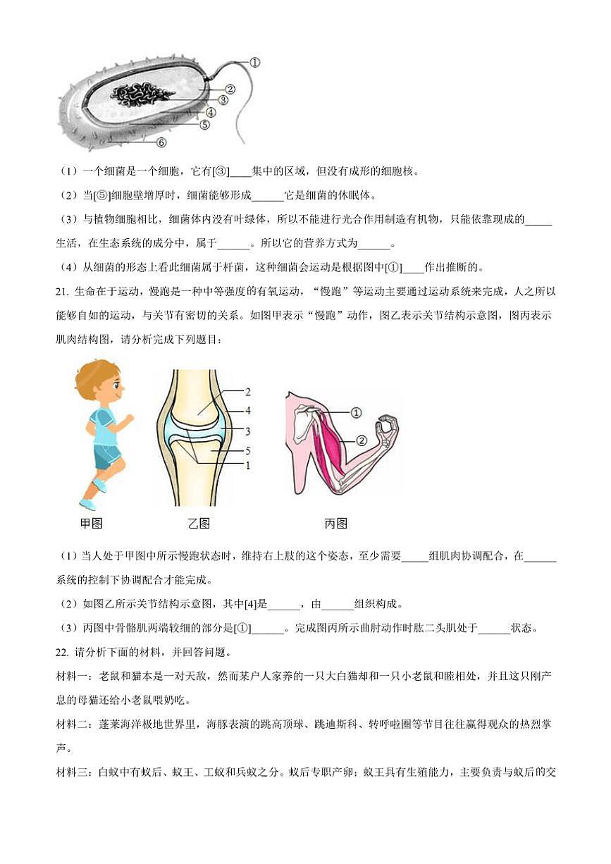 甘肅省定西市岷縣2024～2025學(xué)年八年級(上)期中生物試卷(含答案)第3頁