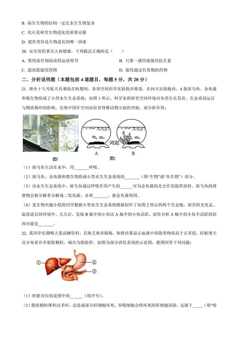 甘肃省陇南市多校2024~2025学年九年级(上)期中生物试卷(含答案)第3页